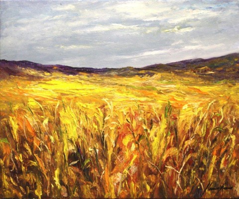1416-camp-de-blat-46x38 1416-camp-de-blat-46x38